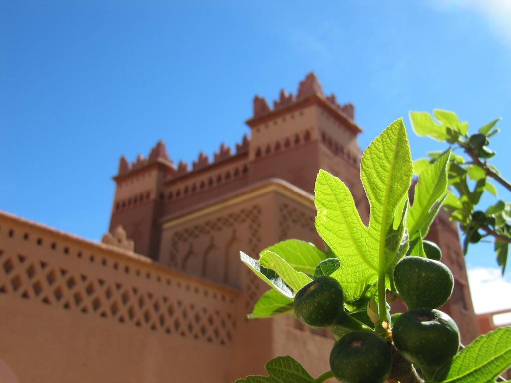 Hotel Kasbah Ait Kassi Boumalne Esterno foto